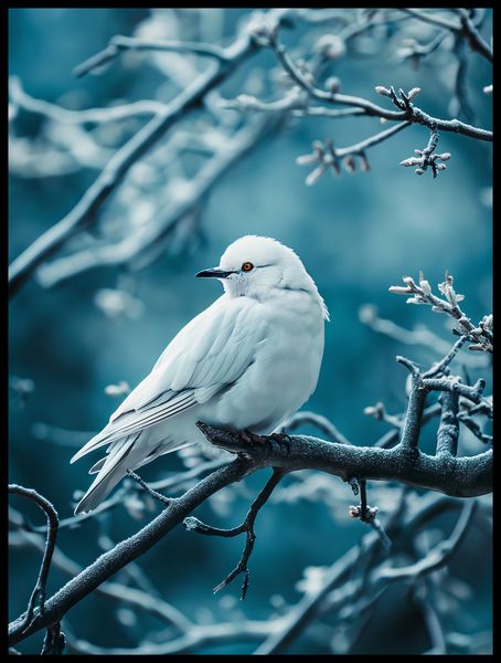 Plakat 60x80cm Perłowy Ptak zdjęcie 2