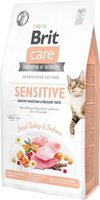 BRIT CARE CAT Grain-free Sensitive 2kg INDYK ŁOSOŚ