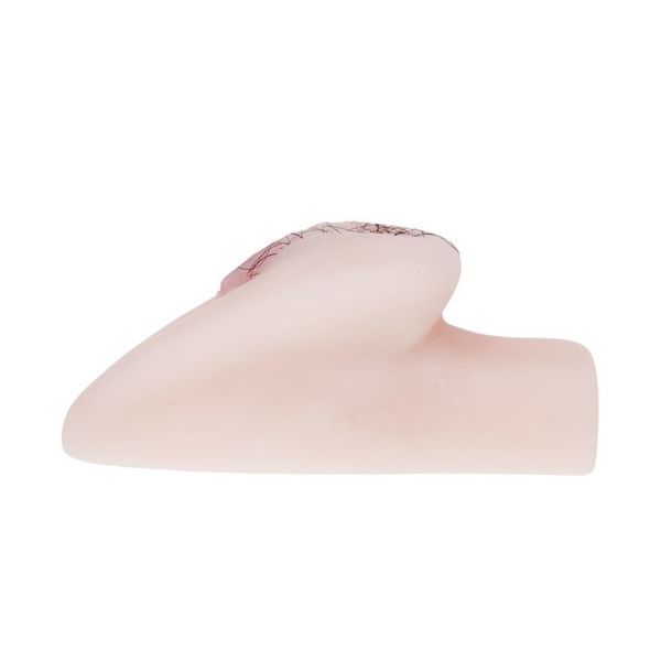 Wagina Z Wibracją I Anusem Little Butt zdjęcie 5