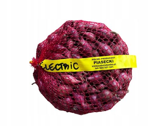 Zimowy zestaw do sadzenia cebula dymka - 2x500g na Arena.pl