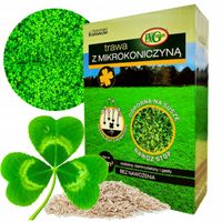 TRAWA Z MIKROKONICZYNĄ 1KG ODPORNA NA SUSZĘ NASIONA KONICZYNA OZDOBNA 40m2