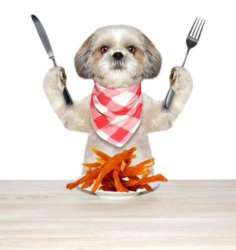 Przysmak, przekąska dla psa Miękkie paski z Kurczaka (92%) Hau&Miau na Arena.pl