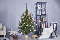 STOJAK NA CHOINKĘ CHOINKOWY METALOWY PODSTAWKA NA DRZEWKO CHOINKĘ