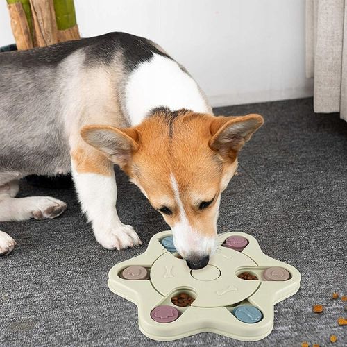 GRA EDUKACYJNA DLA PSA INTERAKTYWNA ZABAWKA WĘCH NA KARMĘ SMACZKI PRZYSMAK na Arena.pl