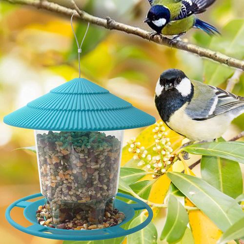 Karmnik dla ptaków wiszący na zewnątrz na Arena.pl