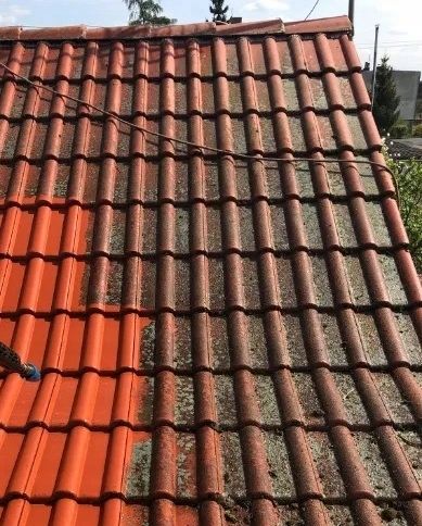 APC OUT P12 Tenzi 5l doczyszczenie elewacji dachów na Arena.pl