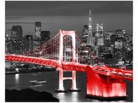 40X50CM TOKYO MOST TĘCZOWY CZERWIENI OBRAZ DRUK