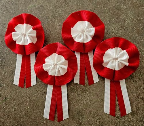 Kotyliony narodowe rozetka 2 patriotyczne 11 listopada przypinki 4 szt na Arena.pl