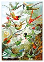 Obraz na płótnie rajskie ptaki kompozycja 70x100 cm