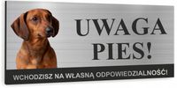 Tabliczka dibond UWAGA ZŁY PIES - JAMNIK aluminiowa nadruk