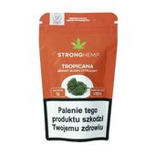 susz konopny cbd „tropicana” o aromacie słodkim, cytrusowym 1g strong hemp
