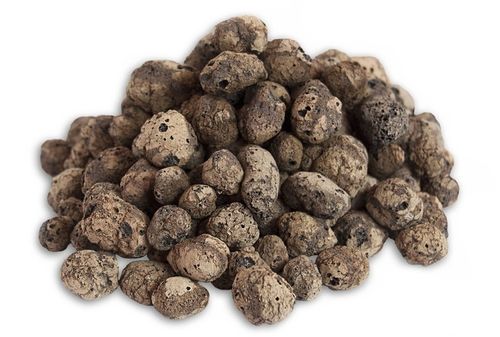 ZESTAW DO UPRAWY PAPRYKA CHILI DE CAYENNE PAPRYKA OSTRA NASIONA 5 SZT na Arena.pl