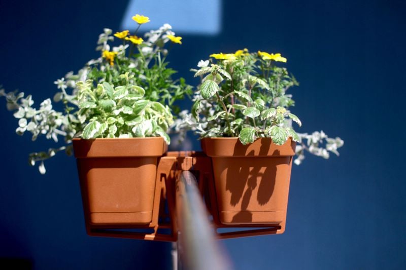 Dwustronny uchwyt do doniczki LOBELIA zdjęcie 4