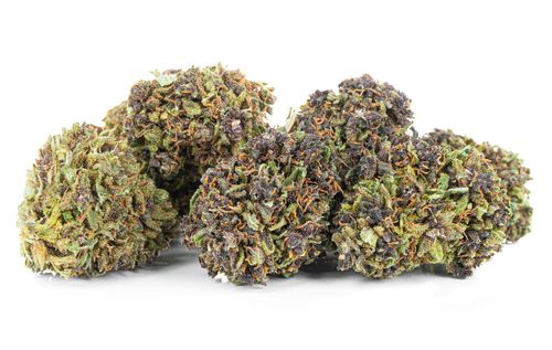 Susz konopny CBD Czarna Pantera SUPER AMSTERDAM 1g na Arena.pl