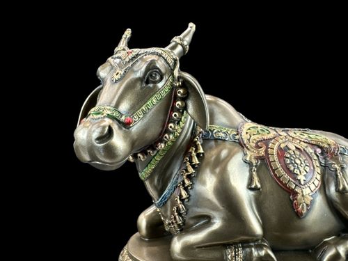 NANDIN – BYK SHIVY VERONESE WU76782A4 na Arena.pl