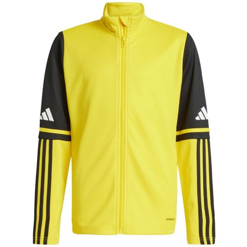 Bluza adidas Squadra 25 Training M JP3388 S na Arena.pl