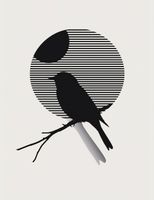 Plakat 50x65cm Kontrast Smukłości