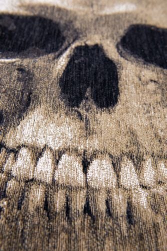 Dywan MEMENTO MORI FUNNY BONES 9391 na Arena.pl