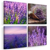 4x Obraz Do Kuchni SET Kwiaty Pola LAWENDY Natura Rośliny 50cm x 50cm