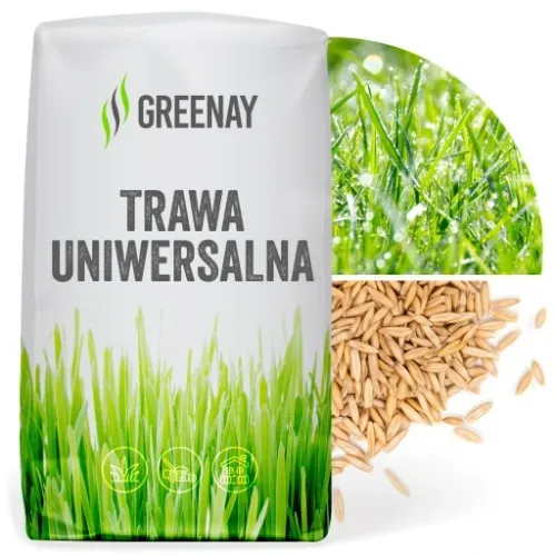 Trawa UNIWERSALNA nasiona trawy SAMOZAGĘSZCZAJĄCA odporna na DEPTANIE 5kg na Arena.pl