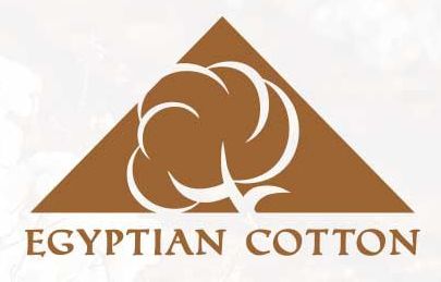 ZWOLTEX Ręcznik Kiwi 2 bawełna EGIPSKA 50x100 na Arena.pl