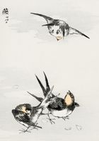Plakat 70x100cm Swallow, Kashu Japoński Vintage do Salonu