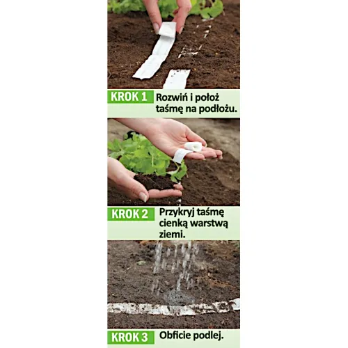 Burak ćwikłowy podłużny OPOLSKI (taśma 6m) na Arena.pl