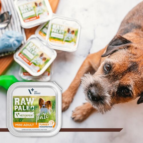 Mokra karma dla psów dorosłych małych ras indyk Raw Paleo Pate 12 x 150g na Arena.pl