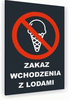 Tabliczka znak informacyjny 20x15 Antracyt ZAKAZ WCHODZENIA Z LODAMI Dibond