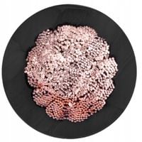 Kabel Przewód spawalniczy Telefonika H01N2-D 1 m x 35 mm 35 mm² AQ OS