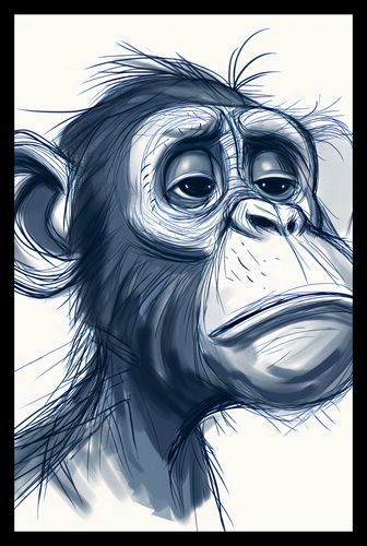 Plakat 53x81cm Zaduma na Arena.pl