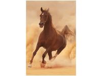 40X60CM KOŃ GALOPIE OBRAZ
