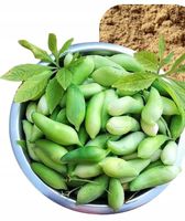 ZIOŁOWY KUFEREK CYKLANTERA POGROMCA CELLULITU I TKANKI TŁUSZCZOWEJ 100G