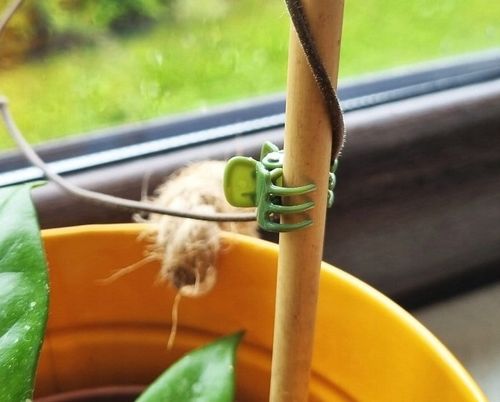 SPINKI DO STORCZYKÓW klipsy do podpór - 100szt. na Arena.pl