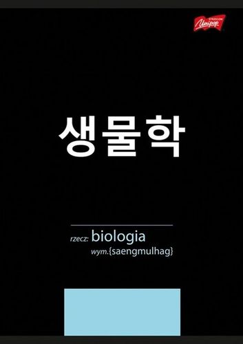 Komplet 10 zeszytów A5 60k tematyczny ściągą K-POP na Arena.pl