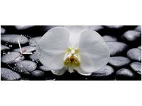 100X40CM ZEGAR BIAŁY STORCZYK OBRAZ