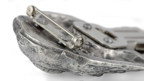 Cavalier King Charles Spaniel - klips - 287 na Arena.pl