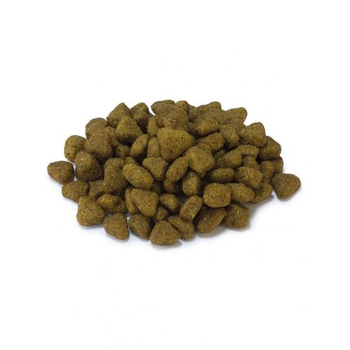 Arquivet Sucha karma dla kotów sterylizowanych z białą rybą na Arena.pl