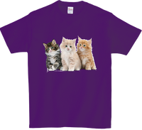 Koszulka T-shirt Koty