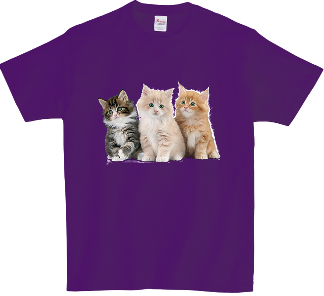 Koszulka T-shirt Koty zdjęcie 1