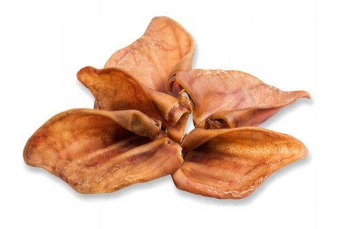 Przysmak, naturalny gryzak dla psa Ucho Wieprzowe Petmex 10 szt. na Arena.pl