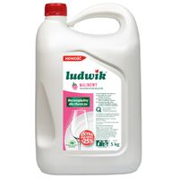 LUDWIK PŁYN DO NACZYŃ 5 KG MALINA