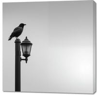 product-compare-59479253