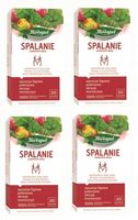 4x 20x 2g HERBAPOL Herbata Funkcjonalna Spalanie suplement diety 80tb