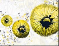 product-compare-58645648