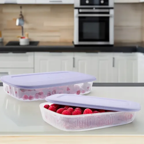 PLASTIKOWY POJEMNIK Z POKRYWKĄ DO PRZECHOWYWANIA ZAMRAŻANIA ŻYWNOŚCI 1,5L na Arena.pl