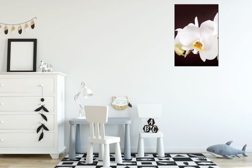 Obraz Na Płótnie 50X70 Piękny Storczyk na Arena.pl