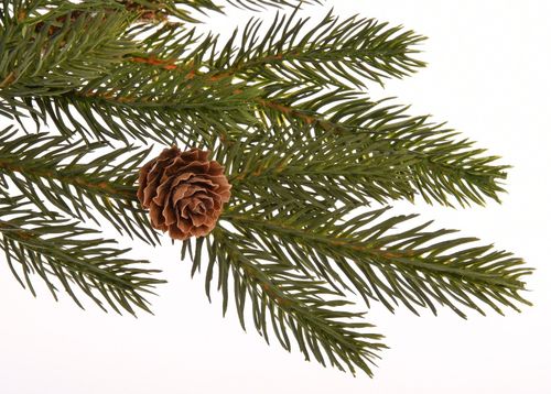Gałąź sosnowa dekoracyjna 86 cm # na Arena.pl
