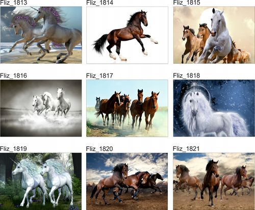 FOTOTAPETA ZWIERZĘTA SOWA NATURA 395x280 na Arena.pl