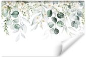 Fototapeta Natura LIŚCIE Akwarela Rośliny 90cm x 60cm